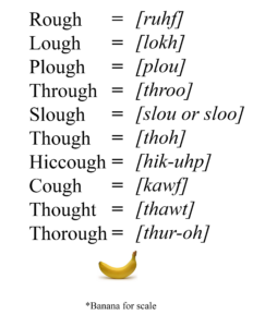 rough = [ruhf]
lough = [lokh]
plough = [plou]
through = [throo]
slough = [slou or sloo]
through = [thoh]
hiccough = [hik-uhp]
cough = [kawf]
thought = [thawt]
thorough = [thur-oh]